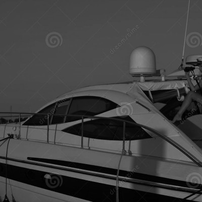 Executive Charters
